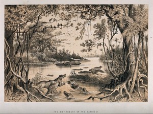 view David Livingstone's steamboat, the Ma-Robert, on the Zambezi River; crocodiles in the foreground. Lithograph.