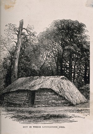 view The hut where David Livingstone died, in central Africa. Etching.