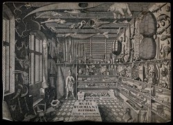 Cabinets of curiosities / Patrick Mauries. | Wellcome Collection