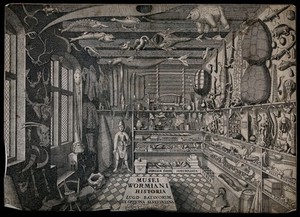 view The museum of Ole Worm, Copenhagen: interior. Engraving, 1655.