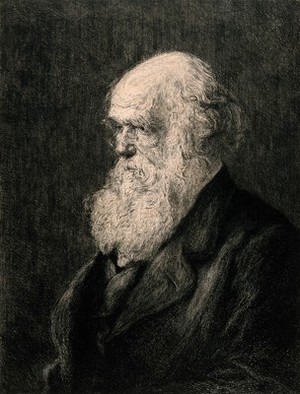 view Charles Robert Darwin. Etching by P.A. Rajon, ca. 1877, after W.W. Ouless, 1875.