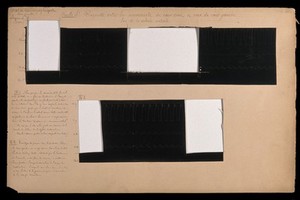 view Electrocardiogram performed on a horse (?) Chart, 1884 (?).