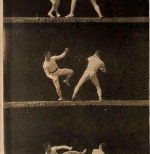 view Two men dressed in white, wrestling, sequences. Photograph.