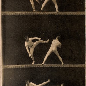 view Two men dressed in white, wrestling, sequences. Photograph.