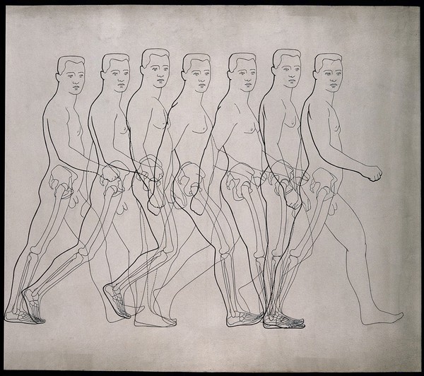A man walking. Drawing.