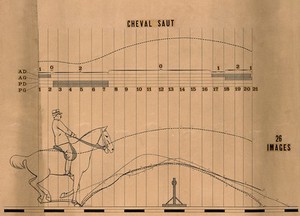 view Man riding a horse, before high jumping. Chart.