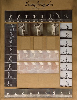Men engaged in various activities: walking, jumping, digging, throwing spears, stretching; sequences. Photographs.