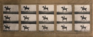 view A man riding a horse; sequences. Photograph.