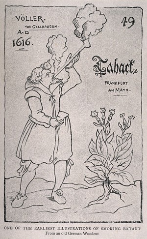 view A man blowing out clouds of smoke from a long pipe, with a tobacco plant to his right. Halftone, c. 1890, after a woodcut, c. 1616.