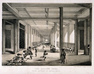 view A busy balling room in the opium factory at Patna, India. Lithograph after W. S. Sherwill, c. 1850.