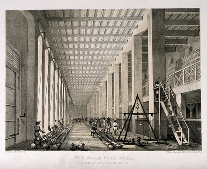 A busy examining hall in the opium factory at Patna, India. Lithograph after W. S. Sherwill, c. 1850.