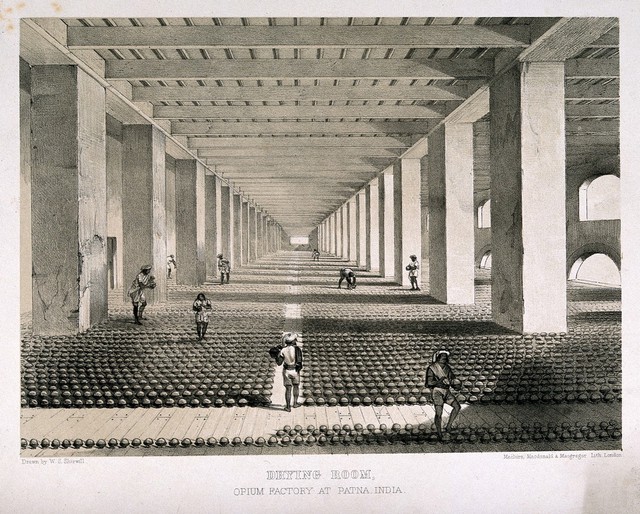 A busy drying room in the opium factory at Patna, India. Lithograph after W. S. Sherwill, c. 1850.