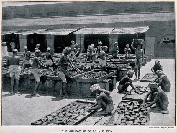 Indian workmen mixing and balling opium in a courtyard in Calcutta. Process print after a photograph by Bourne & Shepherd, c. 1900.