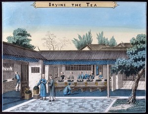 view A tea plantation in China: workers heat and dry the tea leaves. Coloured lithograph.