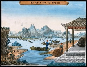 view A tea plantation in China: workers load tea canisters for export onto rafts. Coloured lithograph.