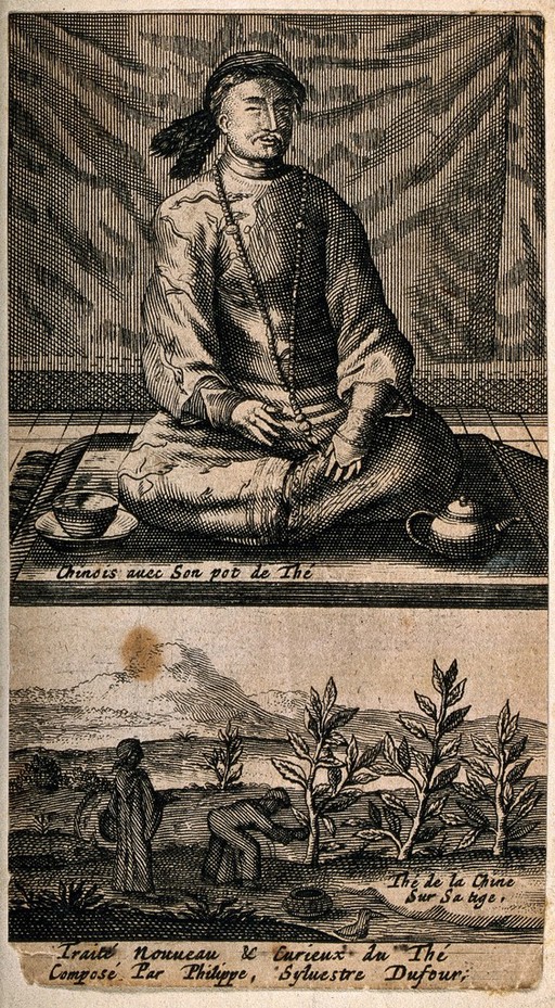 Two pictures: a Chinese man with his tea pot and workers harvesting tea. Etching with engraving, c. 1693.