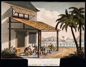 view A tea plantation in China: workers make tea chests. Coloured aquatint, early 19th century.