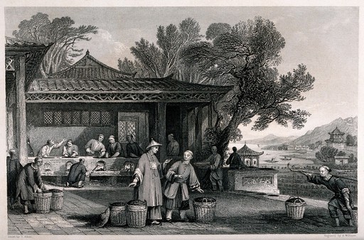 A Chinese tea plantation with workers carrying and firing the tea. Engraving by A. Willmore, c. 1840, after T. Allom.