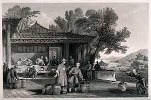 view A Chinese tea plantation with workers carrying and firing the tea. Engraving by A. Willmore, c. 1843, after T. Allom.