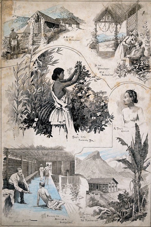 Six scenes from a Tamil village and neigbouring plantations.