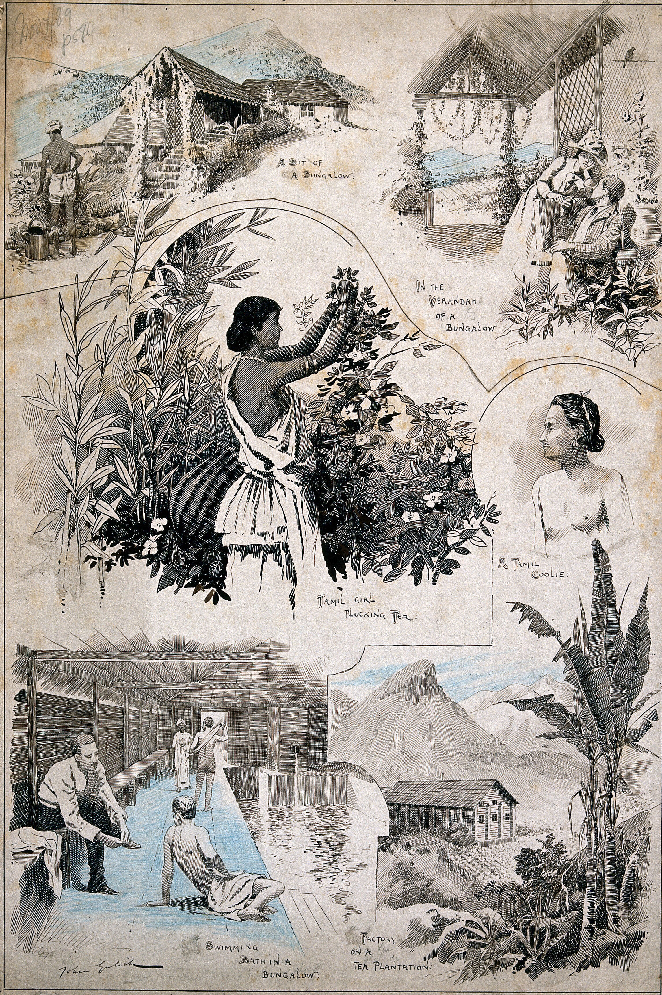 Six Scenes From A Tamil Village And Neigbouring Tea Plantation