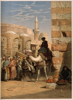 view Egypt: a street with a man smoking and riding a camel. Chromolithograph after C. F. H. Werner, 1873.