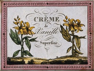 view A liqueur label illustrated with two vanilla plants (Vanilla planifolia). Coloured engraving, 19th century.