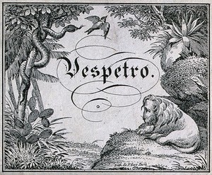 view A Vespetro label illustrated with tropical plants and animals. Lithograph by E. Goy, 19th century, after G. Brunner.