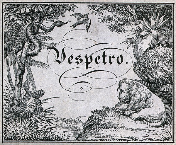 A Vespetro label illustrated with tropical plants and animals. Lithograph by E. Goy, 19th century, after G. Brunner.