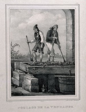 view Two men treading grapes. Lithograph by J.B. Légé, 1830, after G. de Galard.