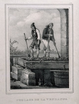 Two men treading grapes. Lithograph by J.B. Légé, 1830, after G. de Galard.