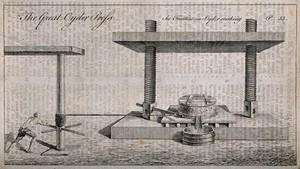 view A man winding a large cider press. Engraving, late 18th century (?).