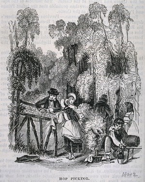 view Hop pickers at work. Wood-engraving, c. 1842 (?).