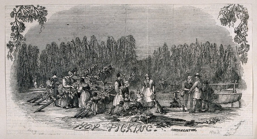 Hop pickers at work. Wood-engraving, c. 1843 (?).