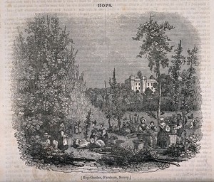 view Harvest time in a hop-garden at Farnham, Surrey. Wood-engraving, c. 1835.