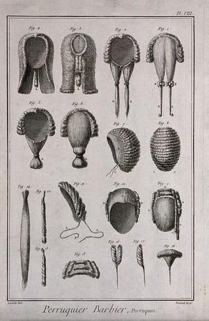 view A variety of wigs. Engraving by R. Bénard after J.R. Lucotte, 1762.