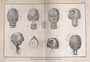 view Various styles of wigs. Engraving by R. Bénard.