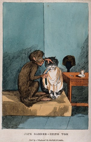 view A monkey shaving a cat's whiskers. Coloured etching by E. Keatinge.