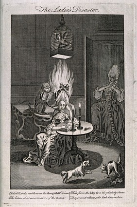 A woman seated at a table, and underneath a parrot in a cage suspended from the ceiling, unaware that her wig has been set alight by a mischievous monkey; another woman screams in horror as she enters through a door, in the right foreground a cat shields her kittens from a barking dog. Etching.