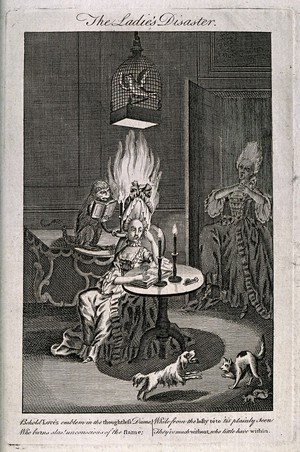 view A woman seated at a table, and underneath a parrot in a cage suspended from the ceiling, unaware that her wig has been set alight by a mischievous monkey; another woman screams in horror as she enters through a door, in the right foreground a cat shields her kittens from a barking dog. Etching.