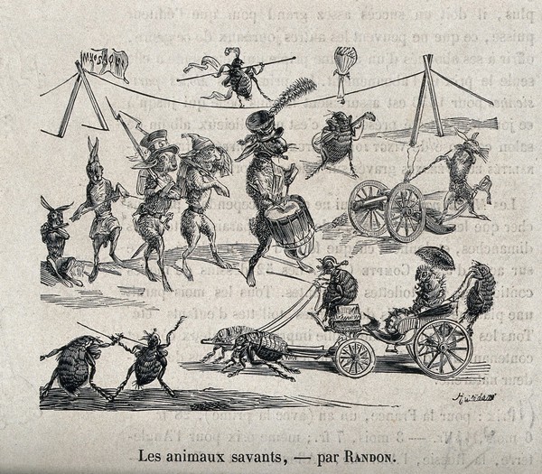 Animals, including fleas, performing various human activities. Wood engraving by Randon.