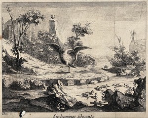 view A swan cleaning itself as an example to man. Engraving after Chev'.(?).