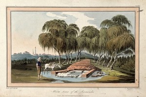 view Warm source of the Scamander. Coloured etching by T. Medland, 1804, after W. Gell.