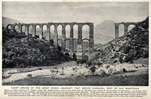 view Ruins of the great Roman aqueduct that served Cherchel, port of old Mauritania. Halftone.