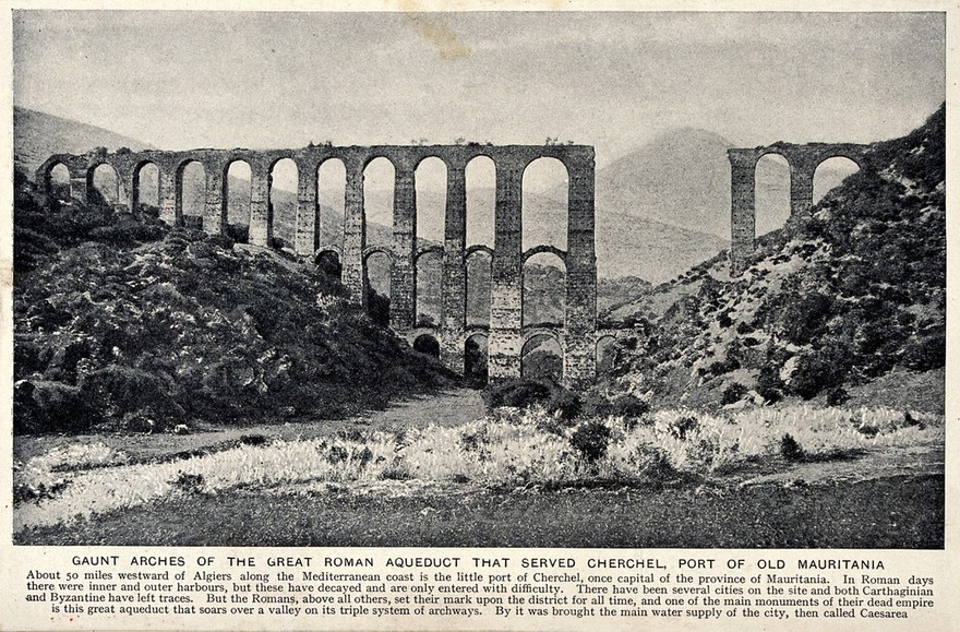 Ruins of the great Roman aqueduct that served Cherchel, port of old Mauritania. Halftone.