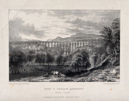 The Pont y Cyslte aqueduct in north Wales. Lithograph after a drawing by G. Pickering.