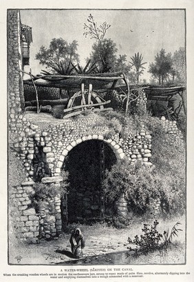 A water-wheel or "sãkiyeh" on a canal. Wood engraving by (?) W.