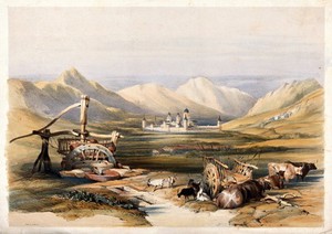 view A water-wheel for raising water; in the background is the Escorial Palace. Coloured lithograph.