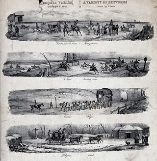 The various uses of horses shown in seven sketches: horses in sports, races and for drawing coaches and carts. Chalk lithograph by Turgis after V. J. Adam.