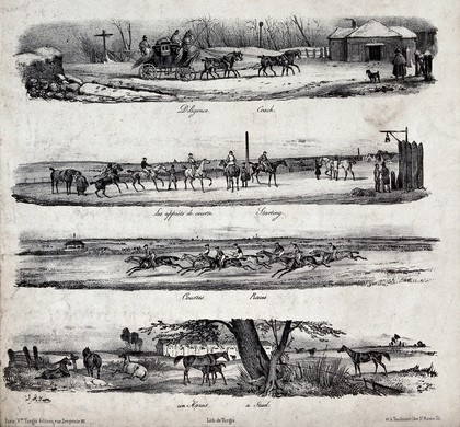 The various uses of horses shown in seven sketches: horses in sports, races and for drawing coaches and carts. Chalk lithograph by Turgis after V. J. Adam.